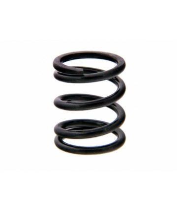 RESSORT SAUVE SERVO MGT